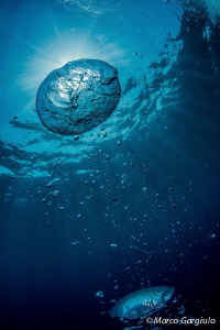 Bubbles by Marco Gargiulo 